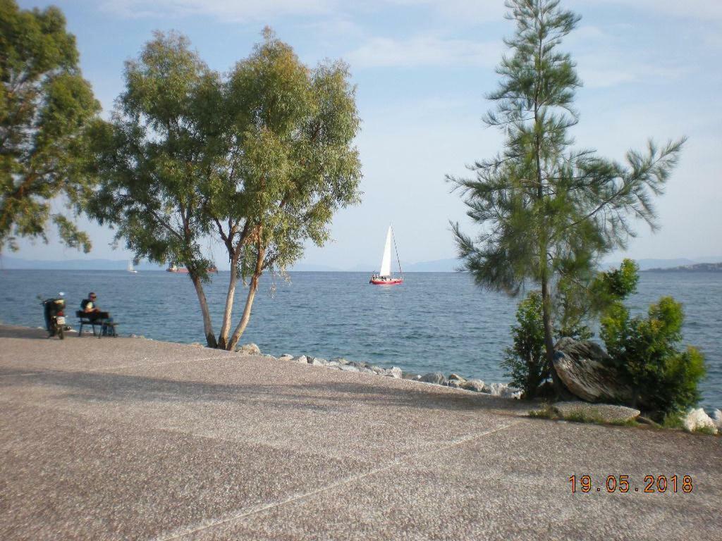 Aristi'S House Daire Golos Dış mekan fotoğraf